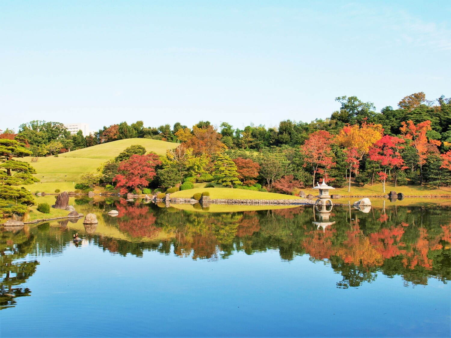 紅葉の日本庭園